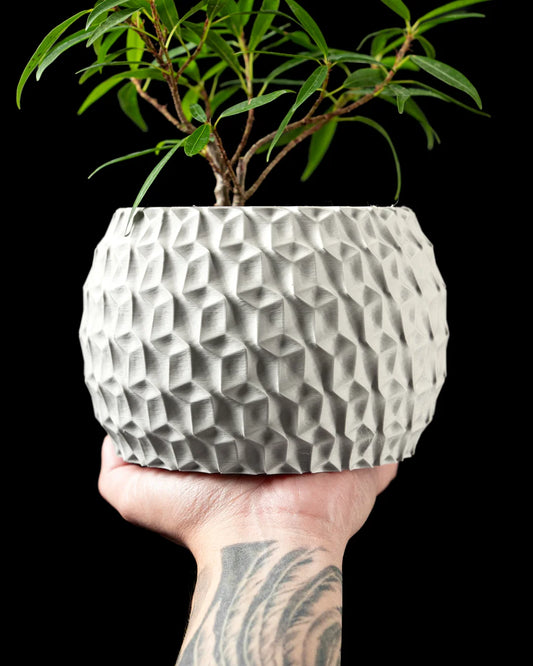 Hexa