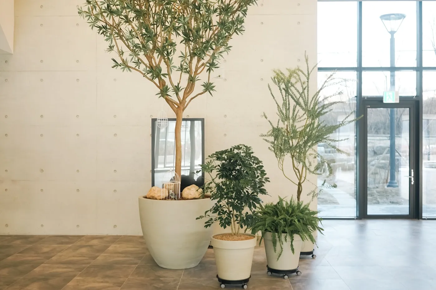 Oficina con plantas y decoración contemporánea