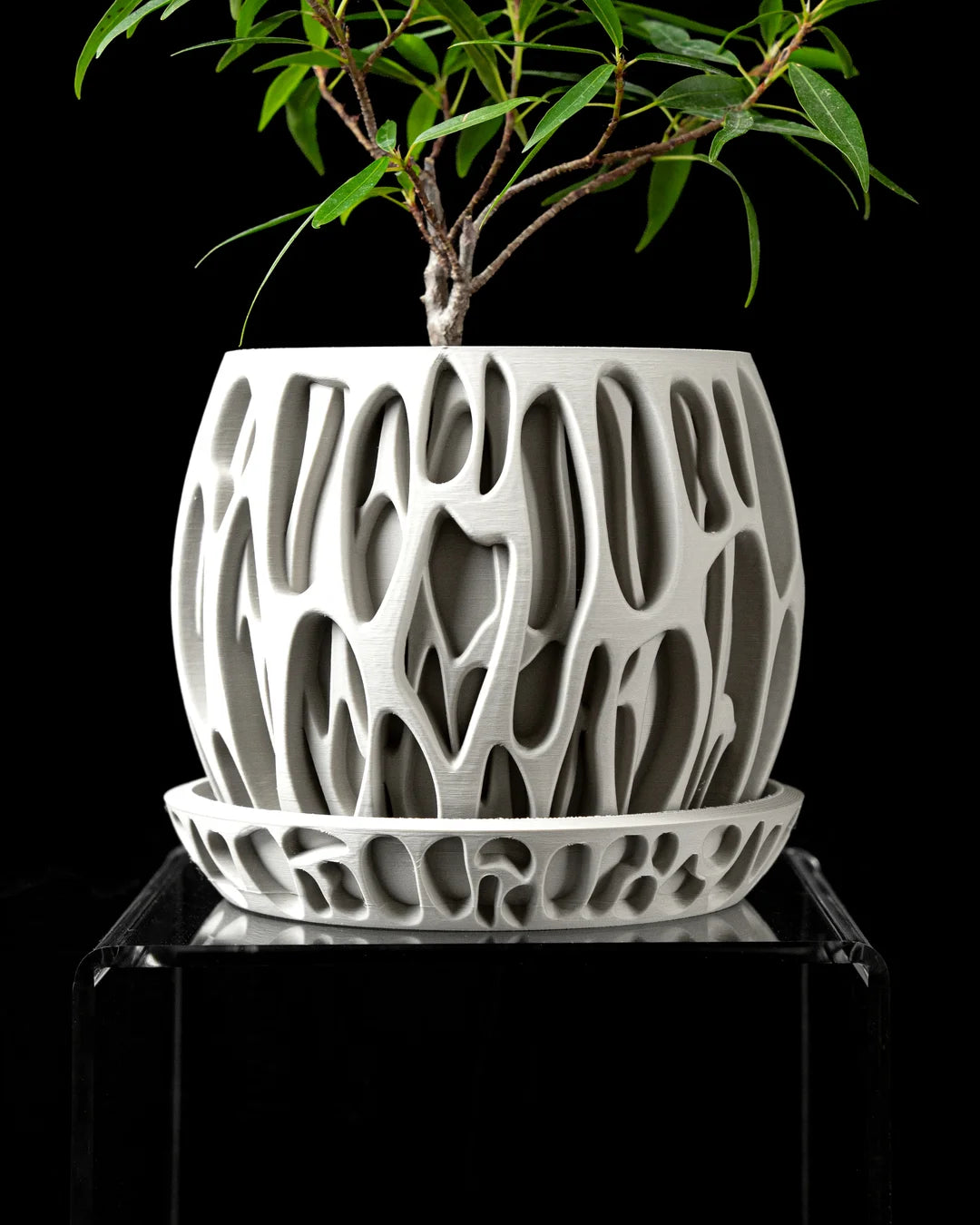 Maceta Corálica de la colección Éteris