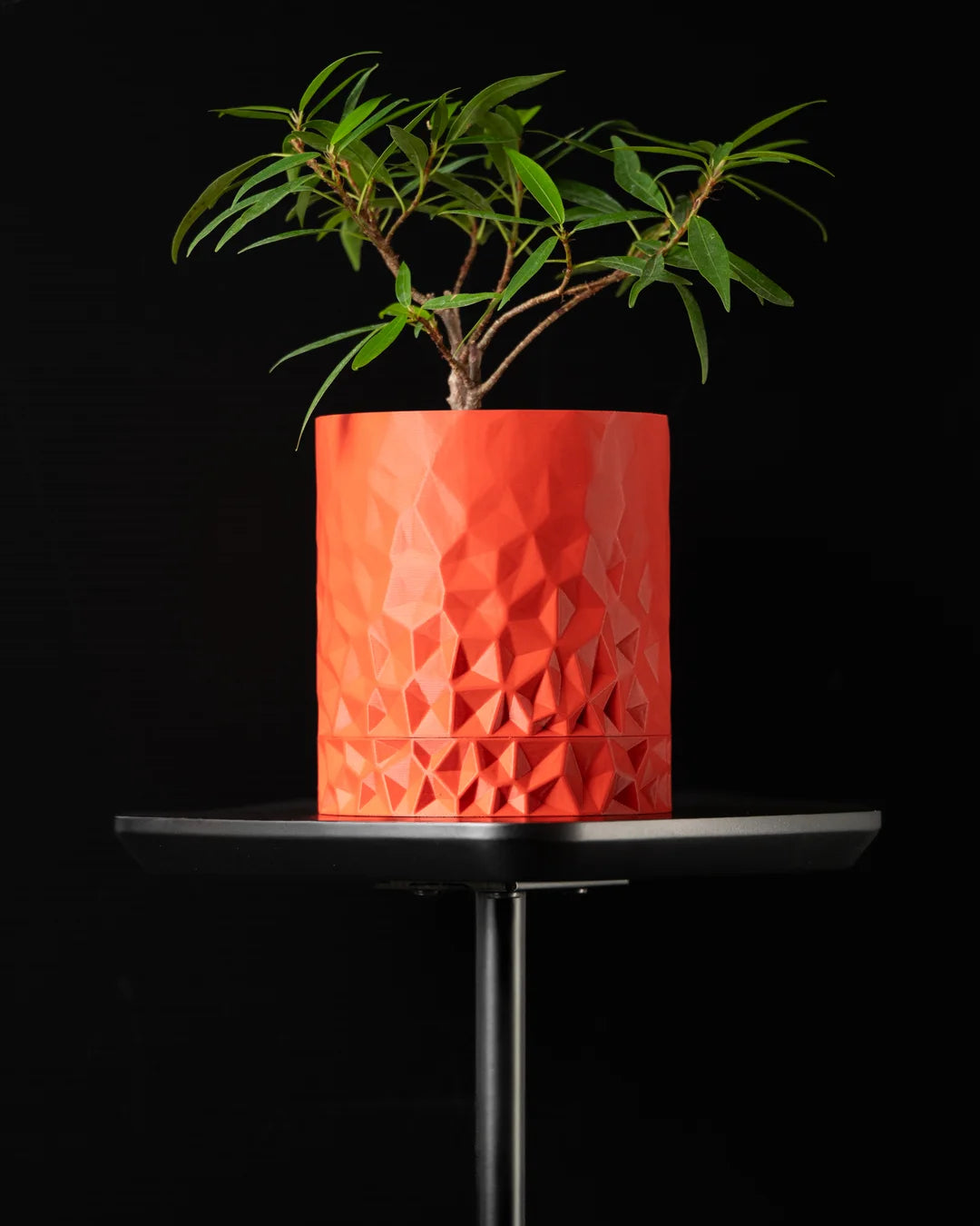 Vértice — vista 2 de 3