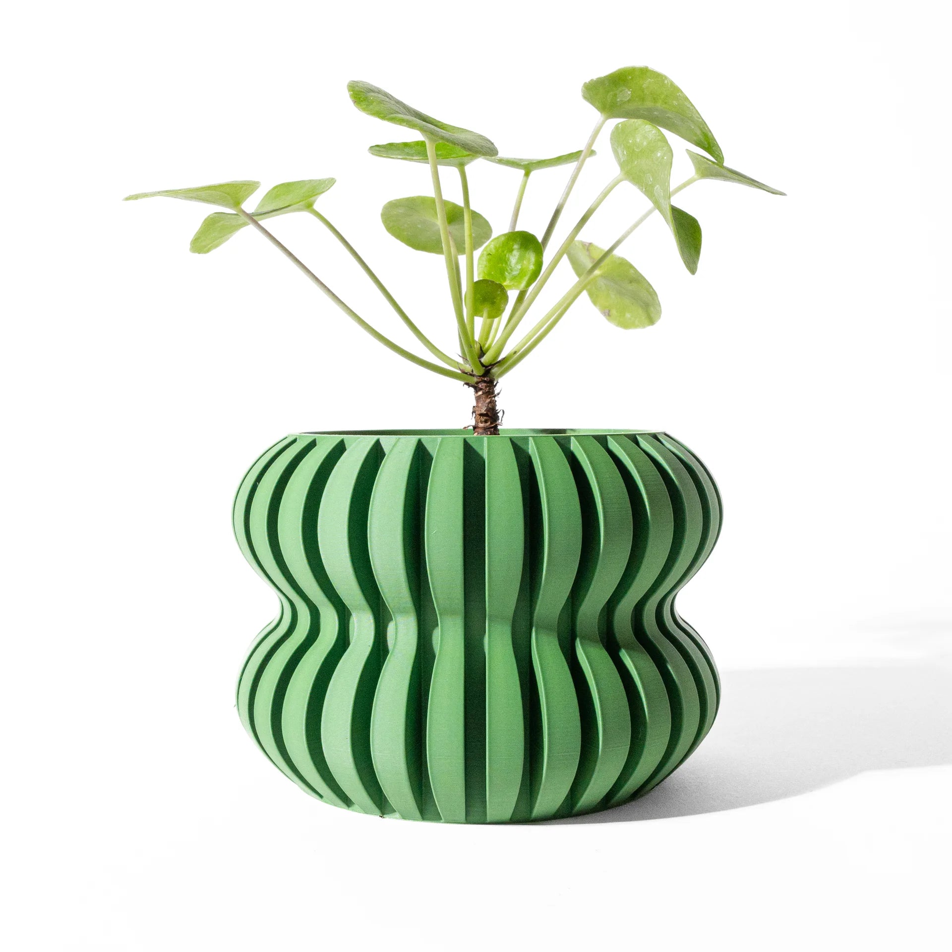 Maceta Boreal de la colección Órbita