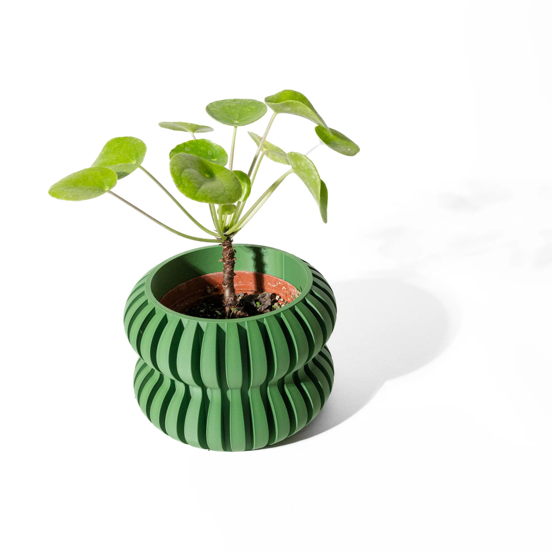 Boreal — vista 2 de 3