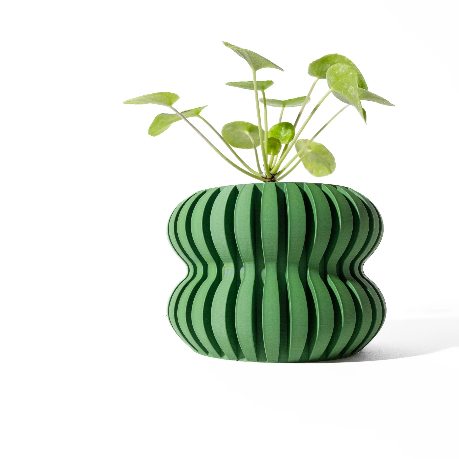 Boreal — vista 3 de 3